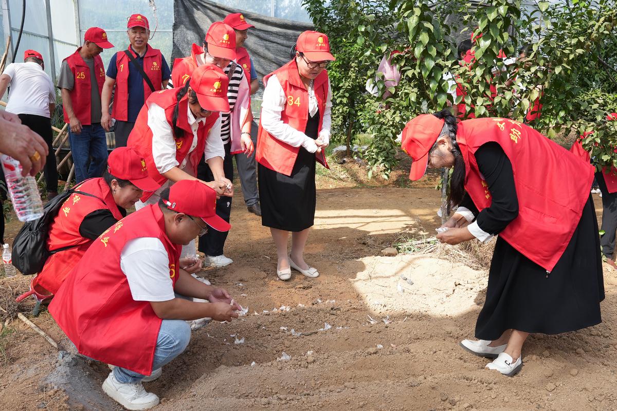 文都職校舉辦高素質農民培訓 蔬菜種植與食用農產品初加工
